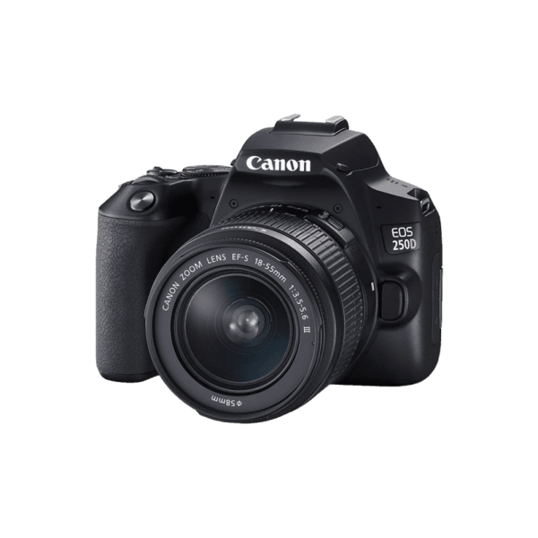 Canon EOS 250D Appareil photo reflex numérique avec objectif EF-S 18-55 mm f/4-5.6 IS STM - Noir