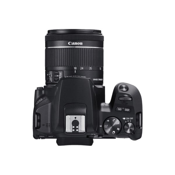 Canon EOS 250D Appareil photo reflex numérique avec objectif EF-S 18-55 mm f/4-5.6 IS STM - Noir – Image 4